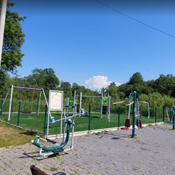 janusz st