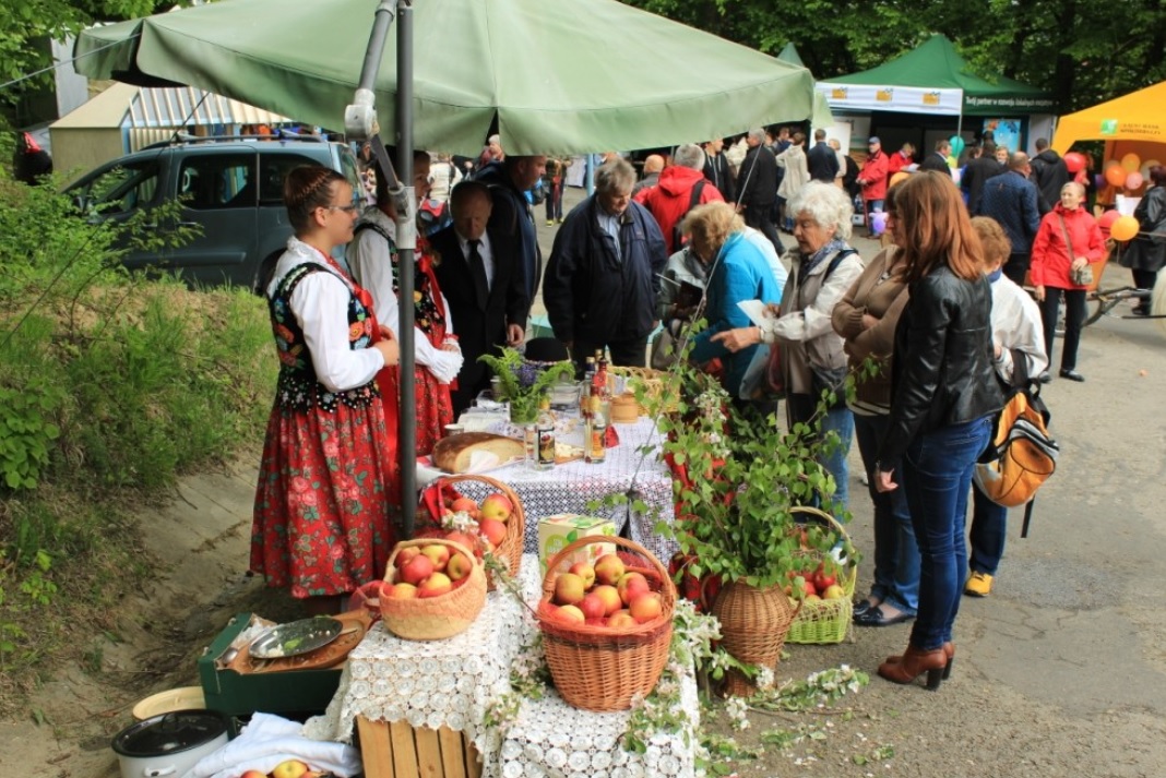 8 Święto Kwitnącej Jabłoni